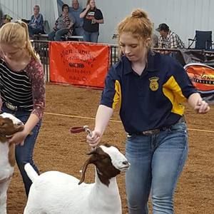 Meet your Posher, Jaylea